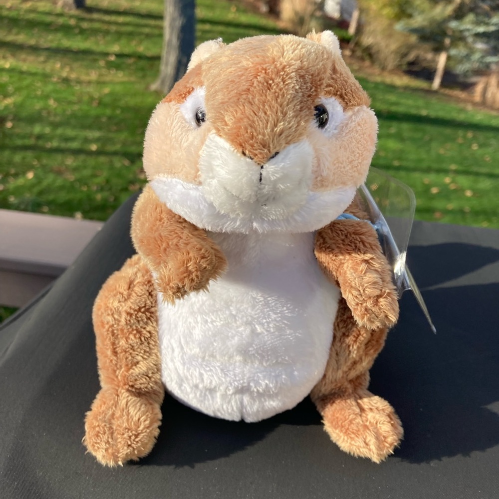 Webkinz Chipmunk Ganz HM217 Sealed Code Retired Plush Stuffed Animal Collectible